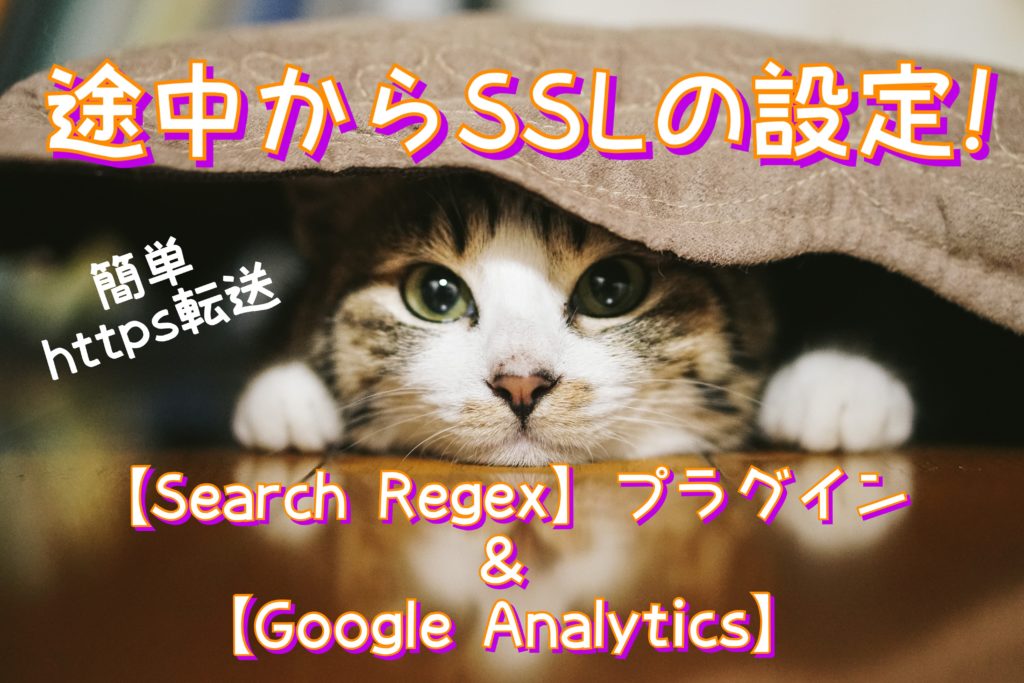 SearchRegexとGoogle Analyticsの設定タイトル画像