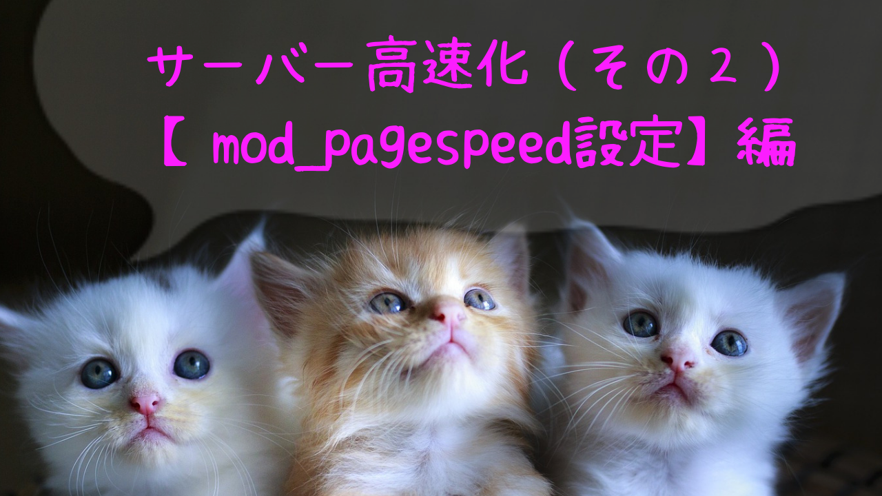 mod_pagespeed設定のタイトル画像